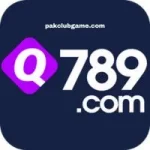 Q789 Game